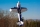 ExtremeFlight - 88" Extra 260 Blue/White 2,23 (EFA452BW)