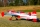 ExtremeFlight - 88" Extra 260 Red/White 2,23 (EFA452RW)