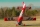 ExtremeFlight - 88" Extra 260 Red/White 2,23 (EFA452RW)