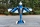 ExtremeFlight - 67" Extra NG Blue/White 1,7m (EFA454BW)