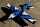 ExtremeFlight - 49" Extra NG Blue/White 1,24m (EFA479BW)