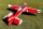 ExtremeFlight - 49" Extra NG Red/White 1,24m (EFA479RW)
