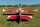 ExtremeFlight - 49" Extra NG Red/White 1,24m (EFA479RW)
