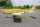 Seagull - Piper Cherokee 1,53 m Gelb (SEA386)