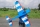 Seagull - Laser 200 1,22 m Blau/Rot (SEA417B)