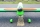 Seagull - Harrier Funly 3D 1,54 m (SEA407)