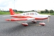 Seagull - Piper Cherokee Warrior II 2,21 m (SEA412)