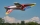 Krill Ares XL wild Impeller Jet rot
