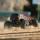 Gorgon 223S 2WD RTR Brushless Monster Truck red/black - 1:10