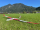 Tomahawk Aviation & Chaservo Duo Discus - 4440mm