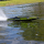 Pro Boat Sonicwake 36 V3 Self-Righting V-Hull Boat RTR schwarz