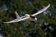KAVAN Beta 1400 rot RTF - 1400mm