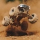 ARRMA 1/10 FREEDOM FLYER 223S 2WD RTR Brushless Monster Truck (Battery & Charger Included) (ARA3530S)