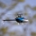 Blade Revolution 155 CP RTF mit SAFE