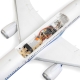 Micro Boeing 787 Dreamliner Twin 30mm EDF BNF Basic mit AS3X & SAFE Select - 715mm