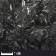 R&G - carbon fibre chip 3mm (100 g)